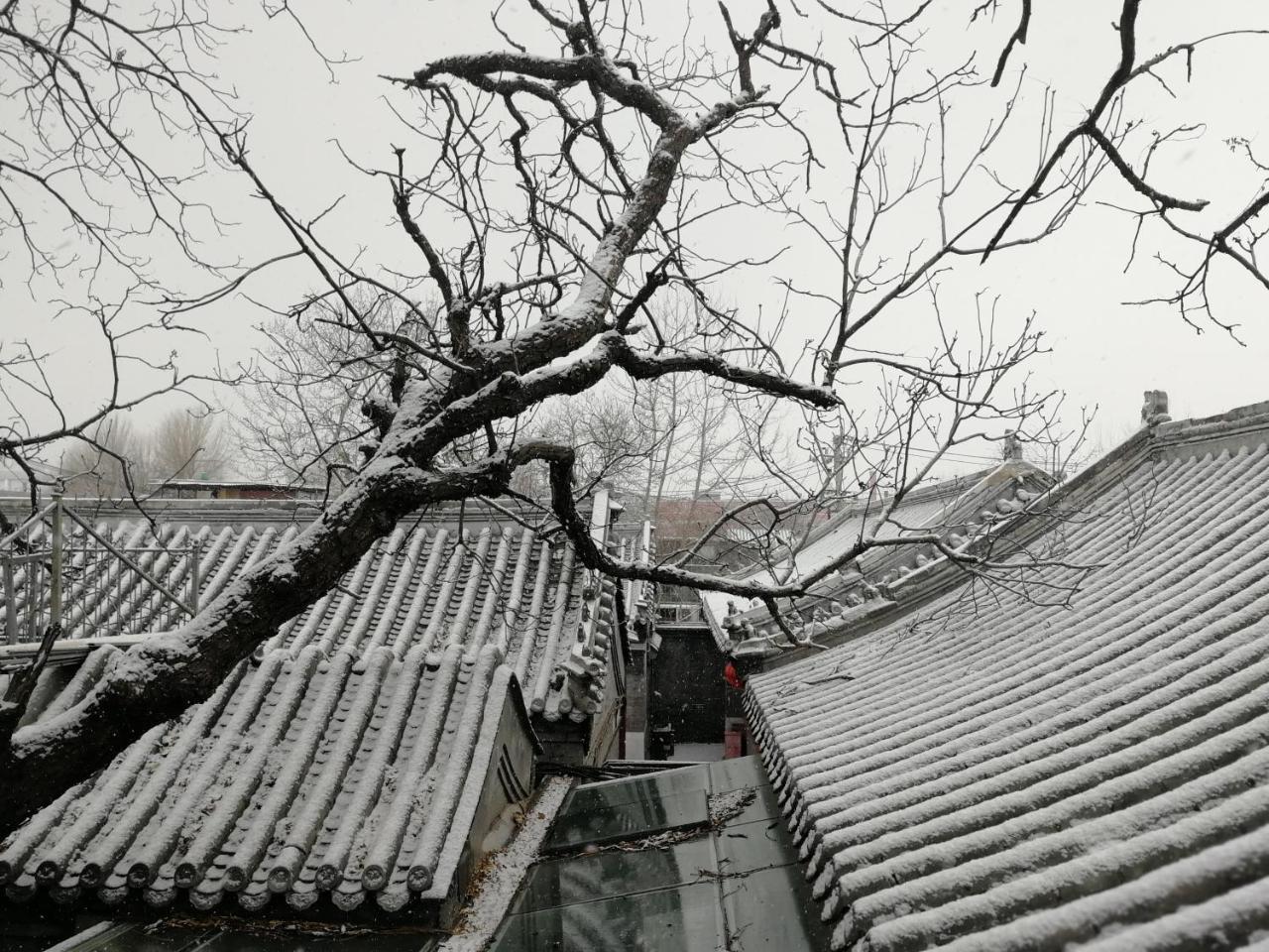 Отель Beijing Fly By Knight Courtyard Экстерьер фото